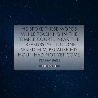Picture 07 - John 8:20 BSB - He spoke these words while teaching in the temple - Bible Verse Picture