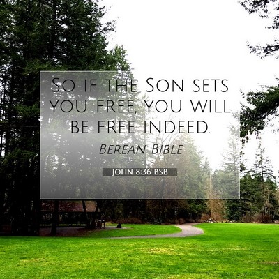 Picture 07 - John 8:36 BSB - So if the Son sets you free, you will be free - Bible Verse Picture
