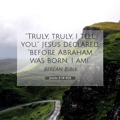 Picture 07 - John 8:58 BSB - “Truly, truly, I tell you,” Jesus declared, - Bible Verse Picture