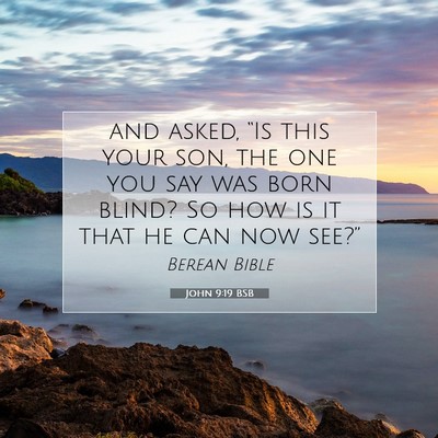 Picture 07 - John 9:19 BSB - and asked, “Is this your son, the one you say - Bible Verse Picture