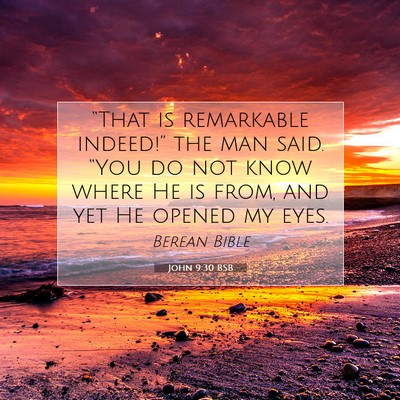 Picture 07 - John 9:30 BSB - “That is remarkable indeed!” the man said. - Bible Verse Picture
