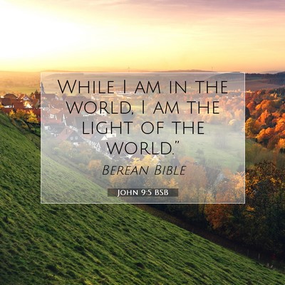Picture 07 - John 9:5 BSB - While I am in the world, I am the light of the - Bible Verse Picture