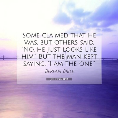 Picture 07 - John 9:9 BSB - Some claimed that he was, but others said, “No, - Bible Verse Picture
