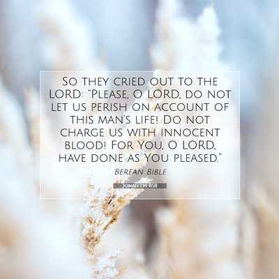 Picture 07 - Jonah 1:14 BSB - So they cried out to the LORD: “Please, O LORD, - Bible Verse Picture