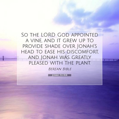 Picture 07 - Jonah 4:6 BSB - So the LORD God appointed a vine, and it grew up - Bible Verse Picture