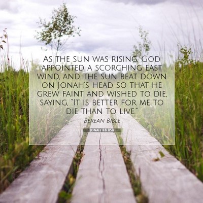 Picture 07 - Jonah 4:8 BSB - As the sun was rising, God appointed a scorching - Bible Verse Picture