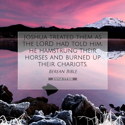 Picture 07 - Joshua 11:9 BSB - Joshua treated them as the LORD had told him; he - Bible Verse Picture