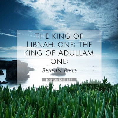 Picture 07 - Joshua 12:15 BSB - the king of Libnah, one; the king of Adullam, - Bible Verse Picture
