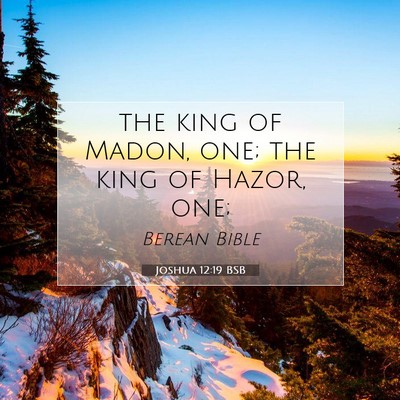 Picture 07 - Joshua 12:19 BSB - the king of Madon, one; the king of Hazor, - Bible Verse Picture