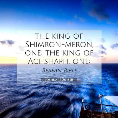 Picture 07 - Joshua 12:20 BSB - the king of Shimron-meron, one; the king of - Bible Verse Picture
