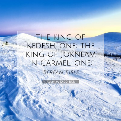 Picture 07 - Joshua 12:22 BSB - the king of Kedesh, one; the king of Jokneam in - Bible Verse Picture
