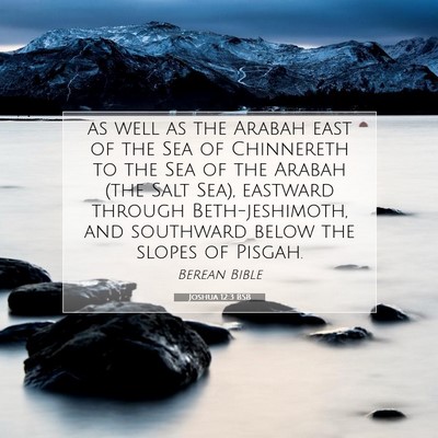 Picture 07 - Joshua 12:3 BSB - as well as the Arabah east of the Sea of - Bible Verse Picture