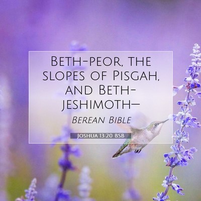 Picture 07 - Joshua 13:20 BSB - Beth-peor, the slopes of Pisgah, and - Bible Verse Picture