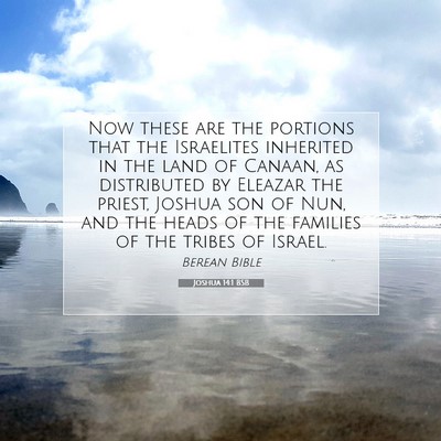 Picture 07 - Joshua 14:1 BSB - Now these are the portions that the Israelites - Bible Verse Picture