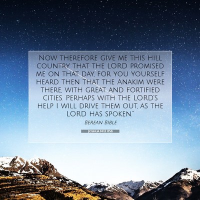 Picture 07 - Joshua 14:12 BSB - Now therefore give me this hill country that the - Bible Verse Picture