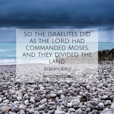 Picture 07 - Joshua 14:5 BSB - So the Israelites did as the LORD had commanded - Bible Verse Picture