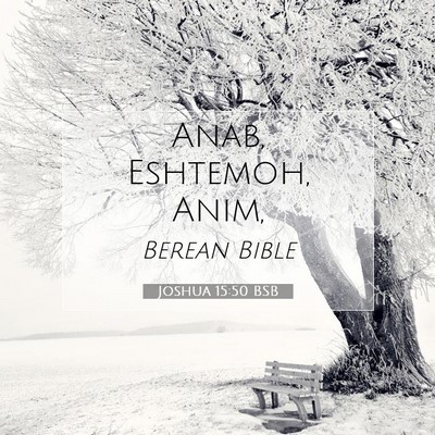Picture 07 - Joshua 15:50 BSB - Anab, Eshtemoh, - Bible Verse Picture