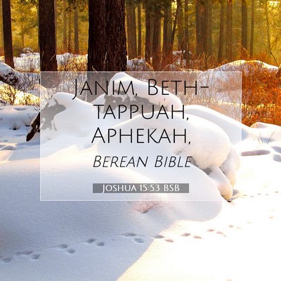 Picture 07 - Joshua 15:53 BSB - Janim, Beth-tappuah, - Bible Verse Picture