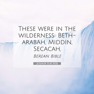 Picture 07 - Joshua 15:61 BSB - These were in the wilderness: Beth-arabah, - Bible Verse Picture