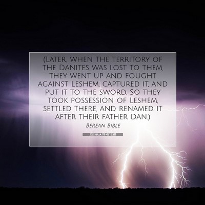 Picture 07 - Joshua 19:47 BSB - (Later, when the territory of the Danites was - Bible Verse Picture