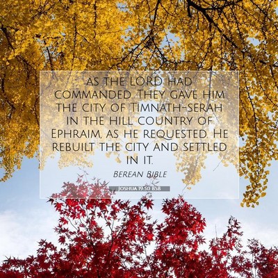 Picture 07 - Joshua 19:50 BSB - as the LORD had commanded. They gave him the city - Bible Verse Picture