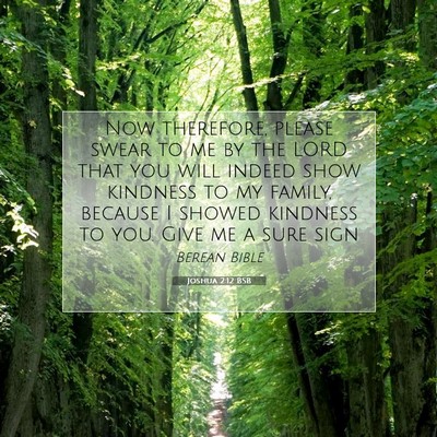 Picture 07 - Joshua 2:12 BSB - Now therefore, please swear to me by the LORD - Bible Verse Picture