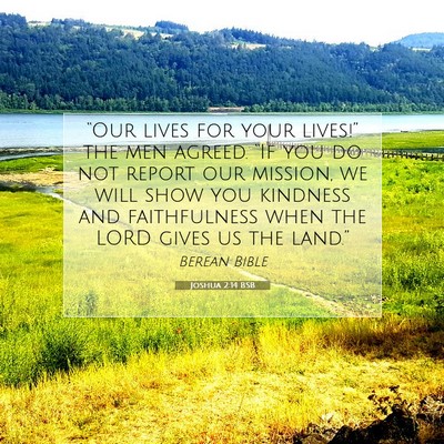 Picture 07 - Joshua 2:14 BSB - “Our lives for your lives!” the men agreed. - Bible Verse Picture