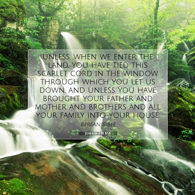 Picture 07 - Joshua 2:18 BSB - unless, when we enter the land, you have tied - Bible Verse Picture
