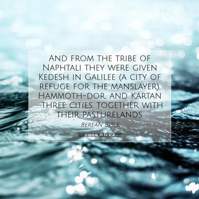 Picture 07 - Joshua 21:32 BSB - And from the tribe of Naphtali they were given - Bible Verse Picture