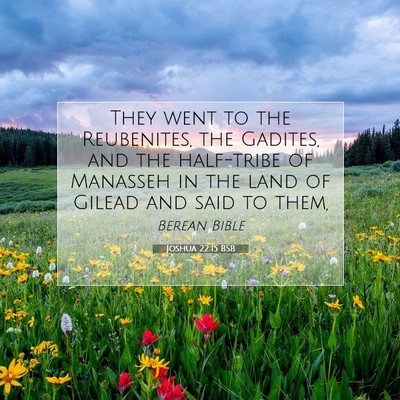 Picture 07 - Joshua 22:15 BSB - They went to the Reubenites, the Gadites, and the - Bible Verse Picture
