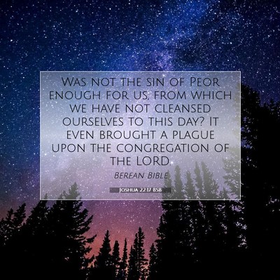 Picture 07 - Joshua 22:17 BSB - Was not the sin of Peor enough for us, from which - Bible Verse Picture