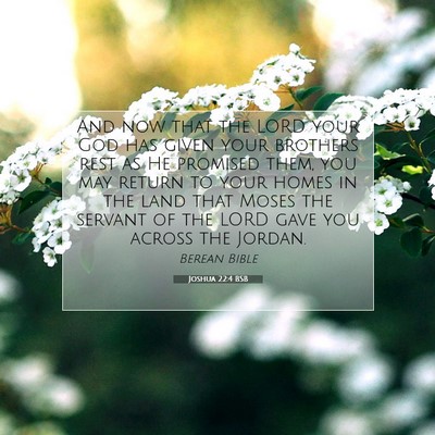 Picture 07 - Joshua 22:4 BSB - And now that the LORD your God has given your - Bible Verse Picture