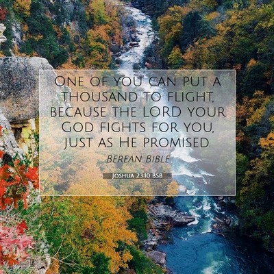 Picture 07 - Joshua 23:10 BSB - One of you can put a thousand to flight, because - Bible Verse Picture