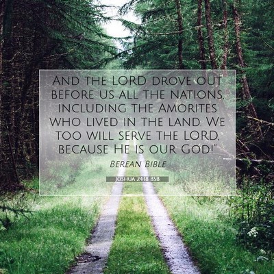 Picture 07 - Joshua 24:18 BSB - And the LORD drove out before us all the nations, - Bible Verse Picture