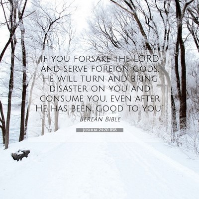 Picture 07 - Joshua 24:20 BSB - If you forsake the LORD and serve foreign gods, - Bible Verse Picture