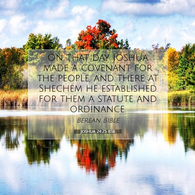 Picture 07 - Joshua 24:25 BSB - On that day Joshua made a covenant for the - Bible Verse Picture