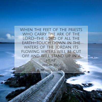Picture 07 - Joshua 3:13 BSB - When the feet of the priests who carry the ark of - Bible Verse Picture