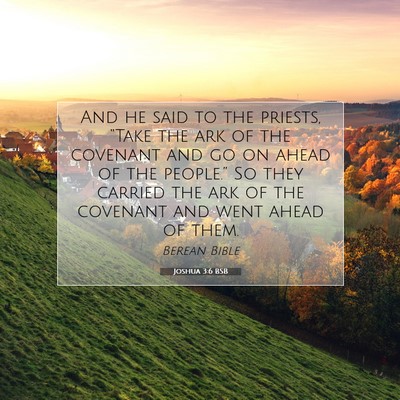 Picture 07 - Joshua 3:6 BSB - And he said to the priests, “Take the ark of - Bible Verse Picture