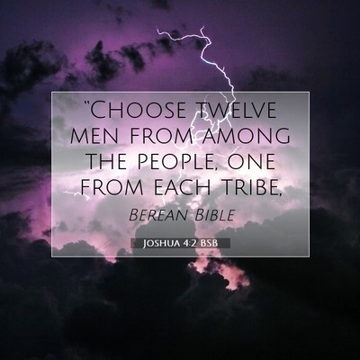 Picture 07 - Joshua 4:2 BSB - “Choose twelve men from among the people, one - Bible Verse Picture