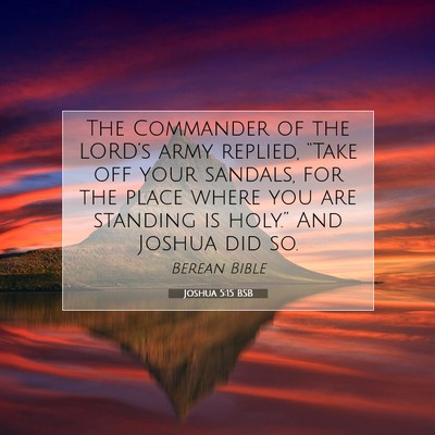 Picture 07 - Joshua 5:15 BSB - The Commander of the LORD’s army replied, - Bible Verse Picture