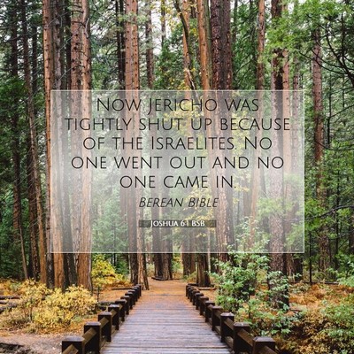 Picture 07 - Joshua 6:1 BSB - Now Jericho was tightly shut up because of the - Bible Verse Picture