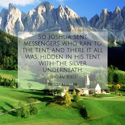 Picture 07 - Joshua 7:22 BSB - So Joshua sent messengers who ran to the tent, - Bible Verse Picture