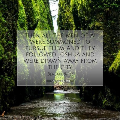 Picture 07 - Joshua 8:16 BSB - Then all the men of Ai were summoned to pursue - Bible Verse Picture