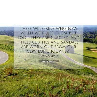 Picture 07 - Joshua 9:13 BSB - These wineskins were new when we filled them, but - Bible Verse Picture