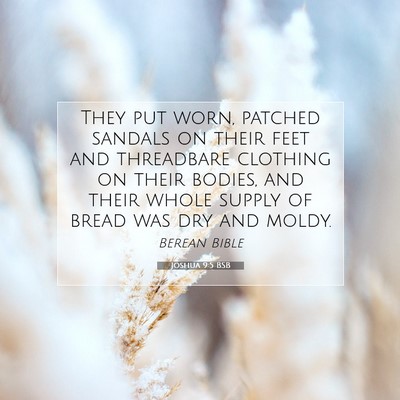 Picture 07 - Joshua 9:5 BSB - They put worn, patched sandals on their feet and - Bible Verse Picture