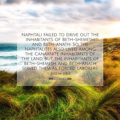 Picture 07 - Judges 1:33 BSB - Naphtali failed to drive out the inhabitants of - Bible Verse Picture