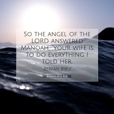 Picture 07 - Judges 13:13 BSB - So the angel of the LORD answered Manoah, “Your - Bible Verse Picture