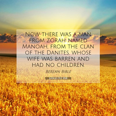 Picture 07 - Judges 13:2 BSB - Now there was a man from Zorah named Manoah, from - Bible Verse Picture