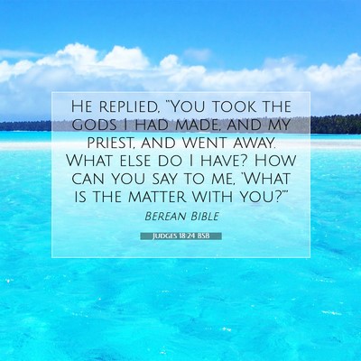 Picture 07 - Judges 18:24 BSB - He replied, “You took the gods I had made, and - Bible Verse Picture