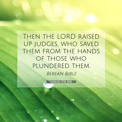Picture 07 - Judges 2:16 BSB - Then the LORD raised up judges, who saved them - Bible Verse Picture